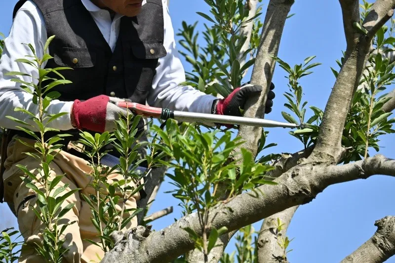 専門スキルを活かして丁寧に作業を実施